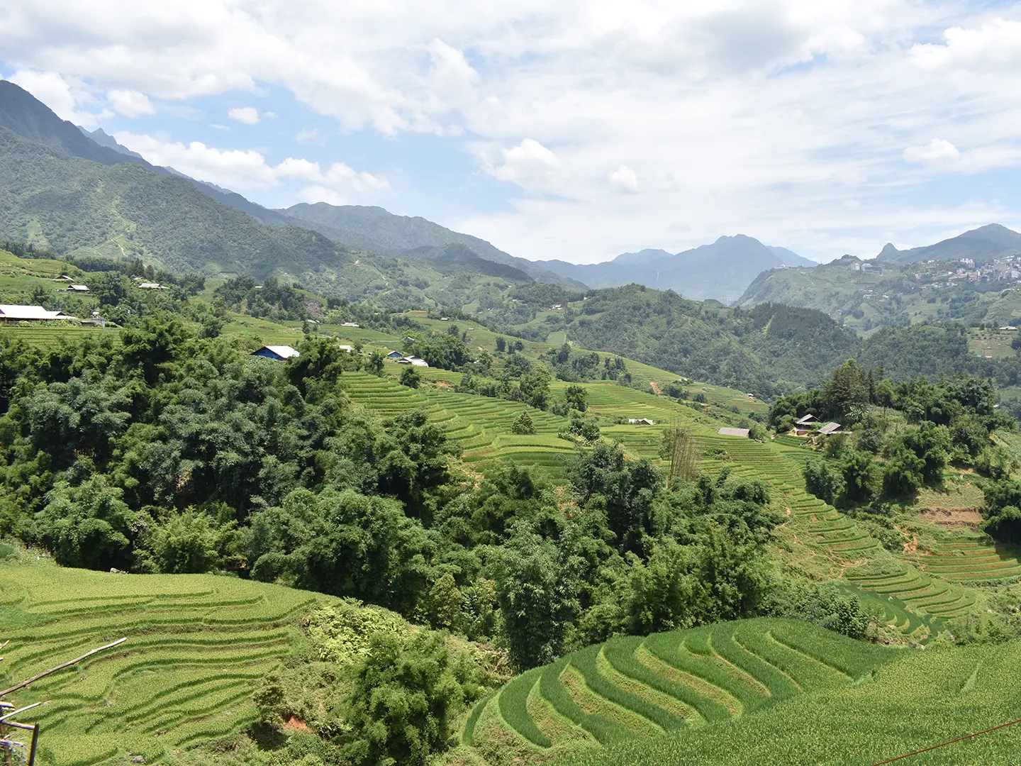 Terms & Services 1 1-Day Easy Trekking in Sapa through Muong Hoa Valley