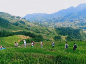Sapa Trekking Tour Prices.top things to do in sapa