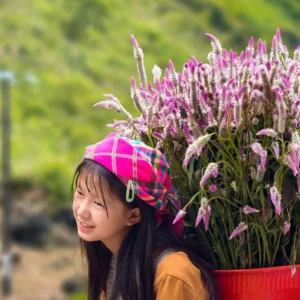 Ha Giang Loop Tour 3 Days 2 Nights