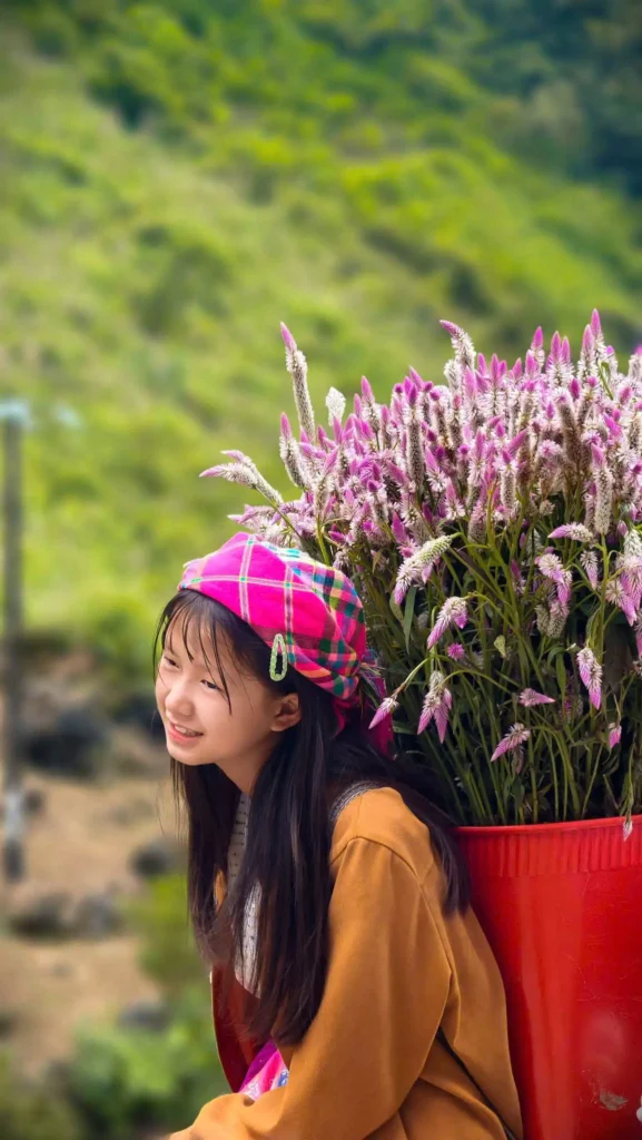 Ha Giang Loop Tour 3 Days 2 Nights