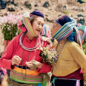 Ha Giang Loop Tour 3 Days 2 Nights