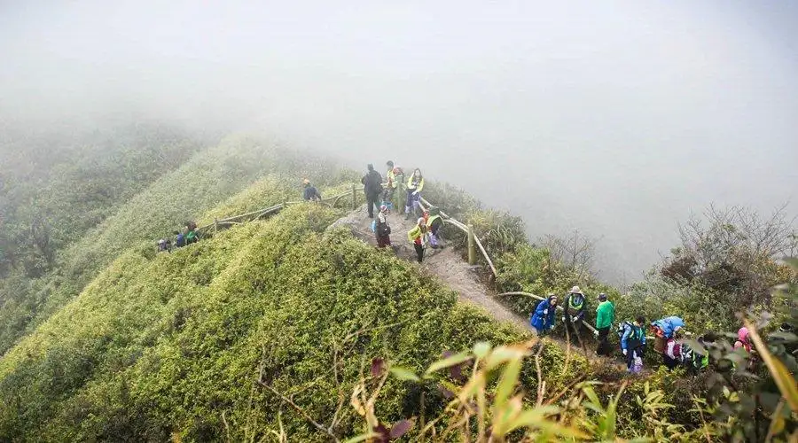 Best Time to Visit Sapa for Trekking