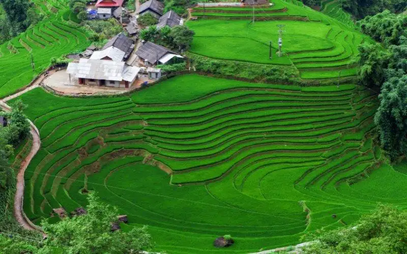 Best Time to Visit Sapa for Trekking