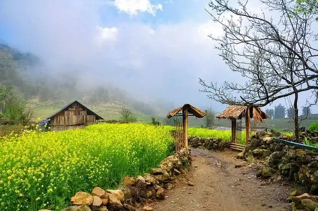 Best Time to Visit Sapa for Trekking