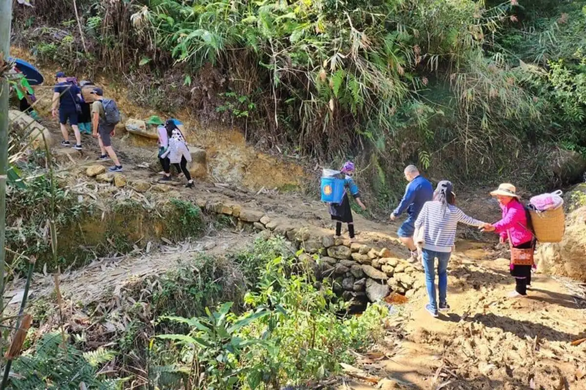 Best Time to Visit Sapa for Trekking