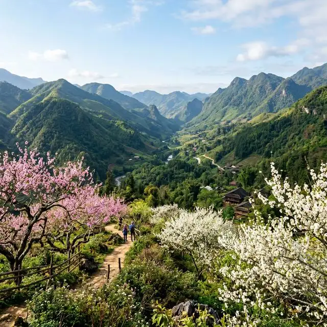 Best Time to Visit Sapa for Trekking