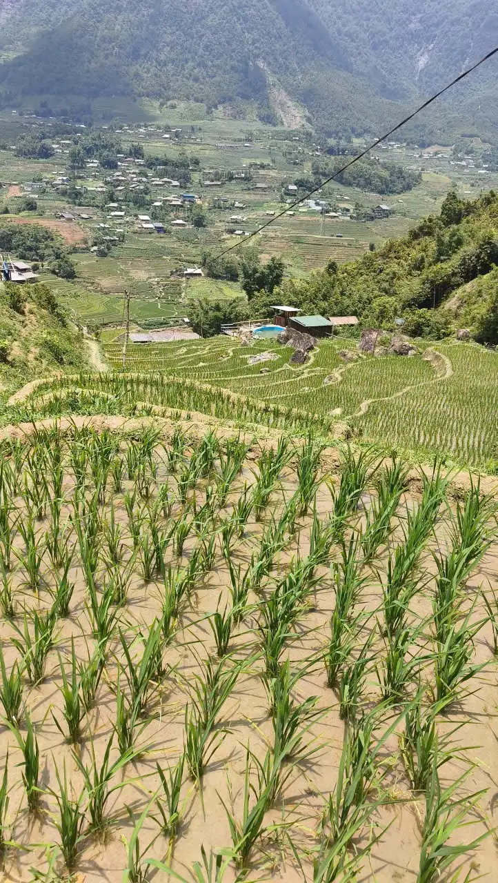 sapa in summer Search intent 3 Sapa Pathfinder Travel