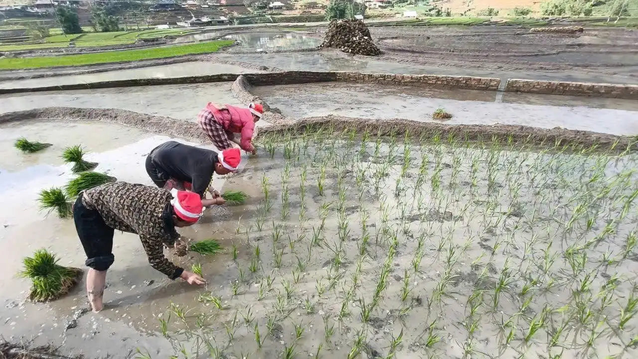 Sapa Pathfinder Travel