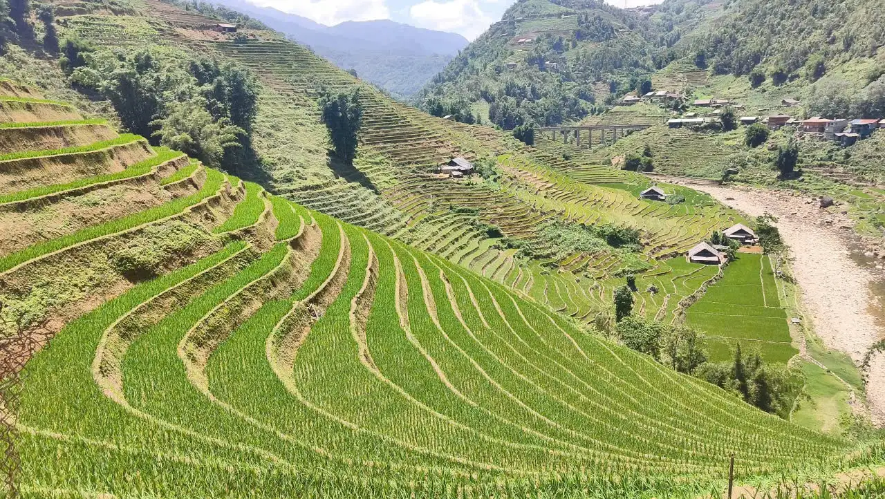 Sapa Pathfinder Travel,sapa in autumn golden season.