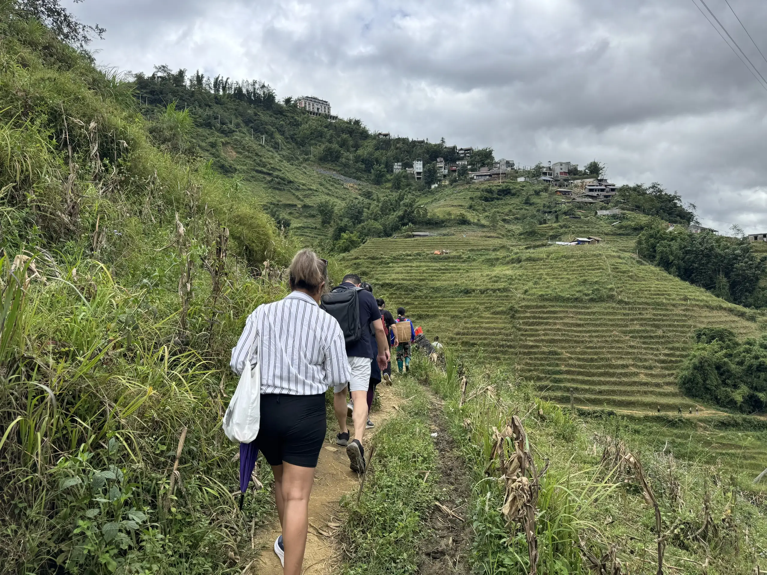 Sapa Fog Season 3 Sapa one day trekking tour, 1 days 1 night