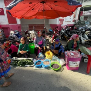 A Real Life Sapa Villages and Bac Ha Market