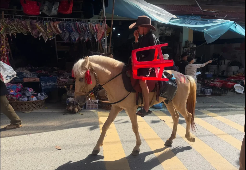 A Real Life Sapa Villages and Bac Ha Market