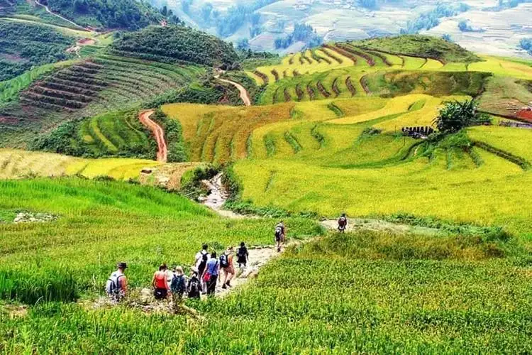 Giay Ethnic Culture in Ta Van 3 The Best Sapa Trekking Routes