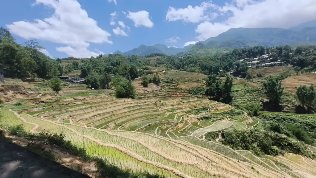 Top Things to Do in Sapa | Complete Travel Guide for First-Time Visitors 1 THE SIGNATURE SAPA EXPERIENCE