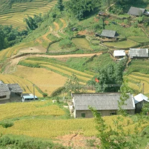 Ha Giang Loop Tour 3 Days 2 Nights
