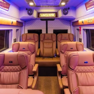 Eco Limousine