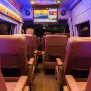 Eco Limousine