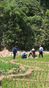 sapa 2 days 1 night itinerary