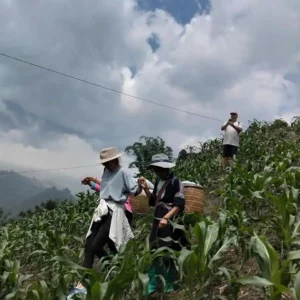 fansipan trekking vs cable car