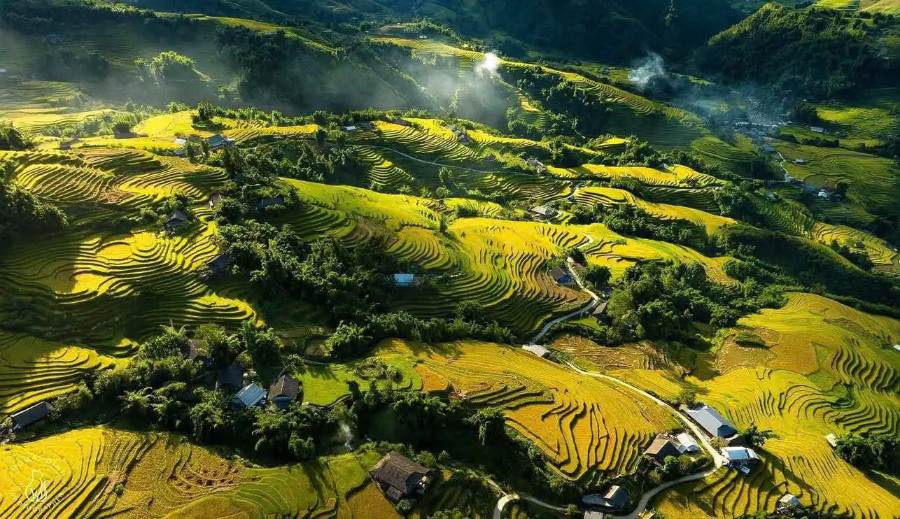 Sapa Weather Forecast