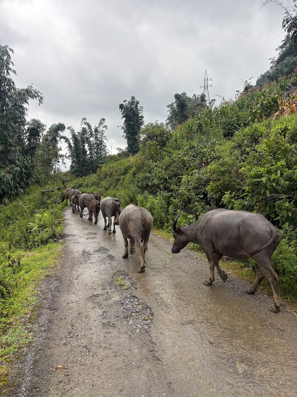 sapa weather trekking routes